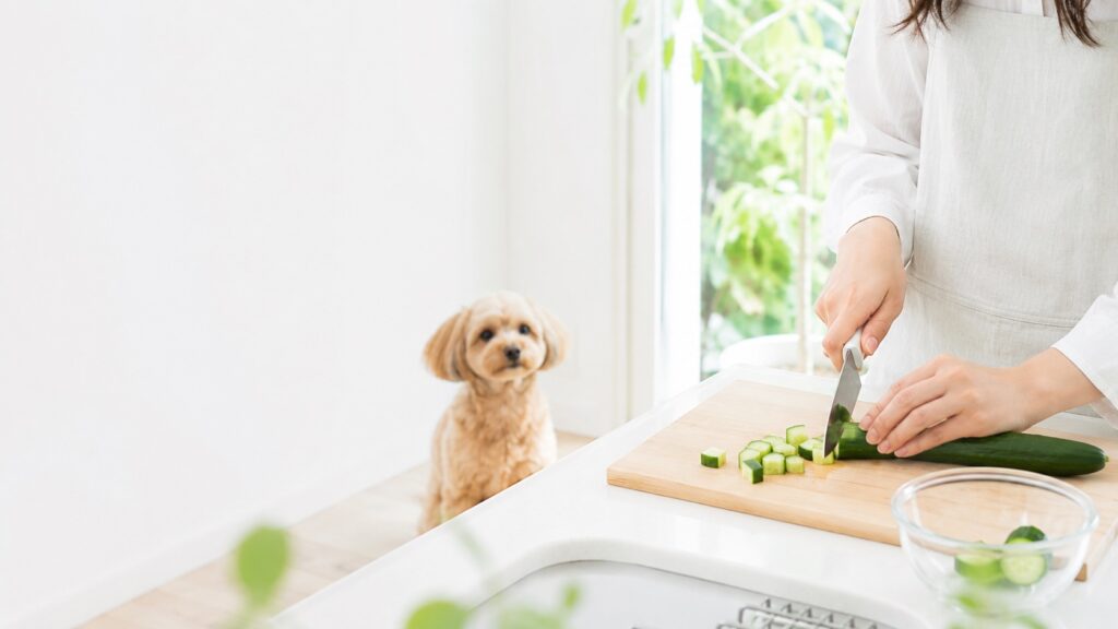 犬が離れて待つキッチンで、きゅうりを小さく切る様子